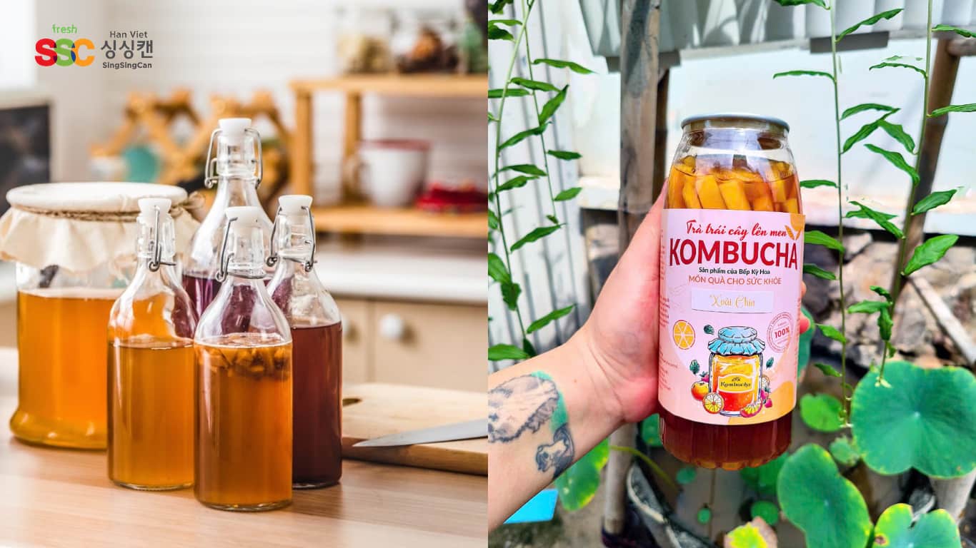 Máy Viền Mí Lon Nhựa Và 10 Loại Thực Phẩm Tiêu Biểu 10 Kinh doanh và bảo quản Kombucha trong lon